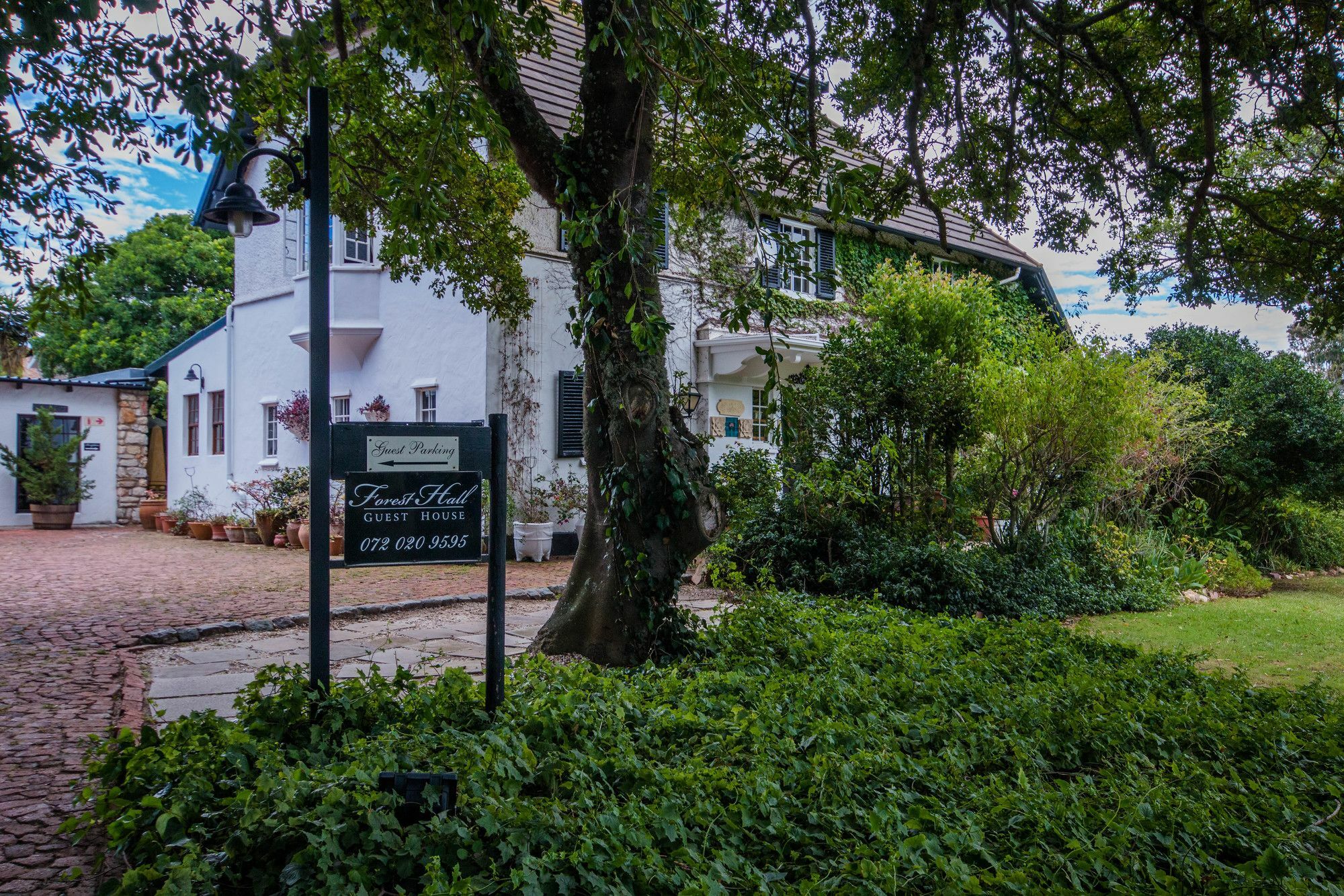 Forest Hall Guest House Port Elizabeth Luaran gambar